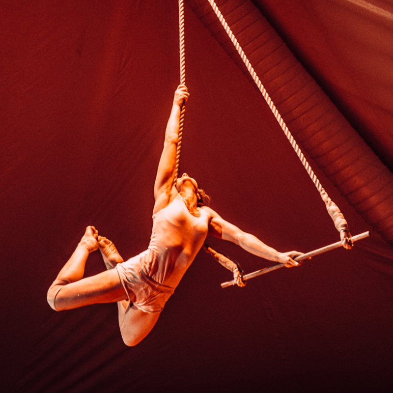 Scaled spit perth fringe photo