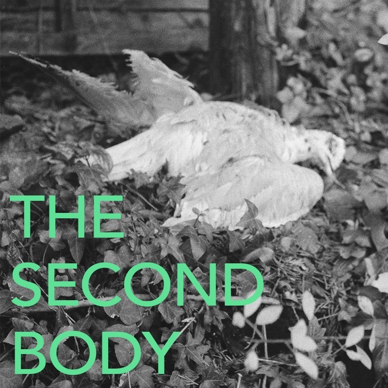 The Second Body - Work in progress - Event image